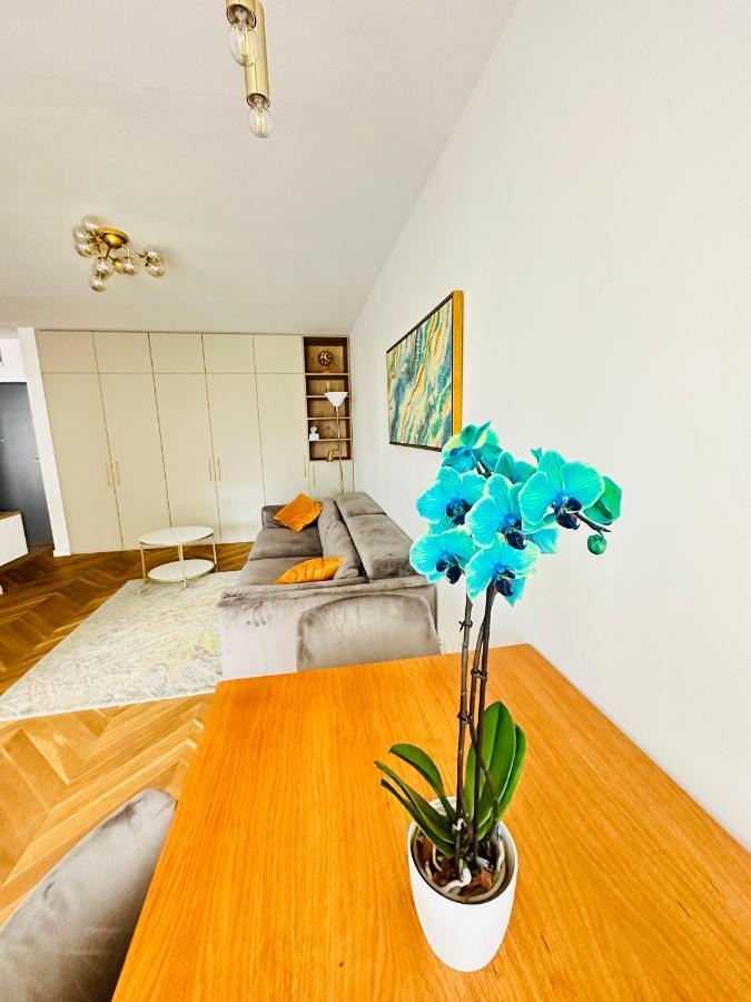 Bel Dom - The Central, Spacious 2 Rooms Luxury Apartment Kolozsvár Kültér fotó